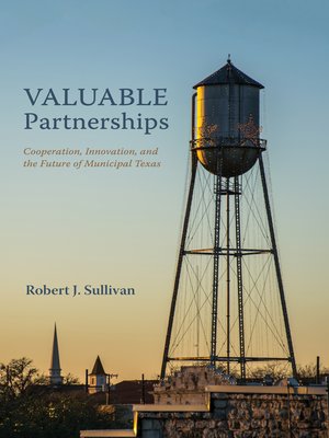 cover image of Valuable Partnerships